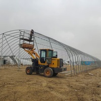 Invernadero Grande con Estructura Metálica para Horticultura, Invernadero Tropical con Cubierta de Láminas de Policarbonato, Mejor Precio