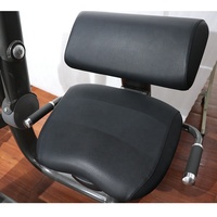 Équipement de gym de fitness commercial Machine chargée par broche Machine d'extension arrière