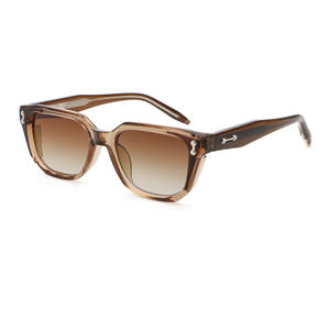 デザイナーカスタムロゴスクエアサングラス女性用クラシックレトロな色合いのサングラス2025サングラス男性PC + CPフレーム - Product Image 3