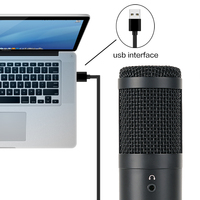 Microphone de bureau USB filaire en métal cardioïde professionnel pour diffusion en direct YouTube musique ordinateur podcasting