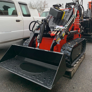 Gratis Verzending Goedkope Mini Skid Stuur Lader Met Hamer Diesel Benzinemotor Skeed Stuur Loader - Product Image 4