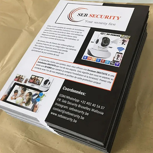 Promosyonlar için iş hava ilanı reklam ekonomik el ilanları için özel el ilanları baskı - Product Image 2