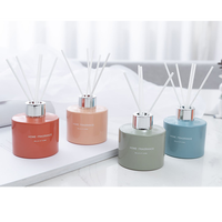 Bouteille diffuseur personnalisée de 50 ml, bouteille diffuseur à roseaux électro-plaquée de couleur, bouteille en verre d'aromathérapie pour diffuseurs de 100 ml
