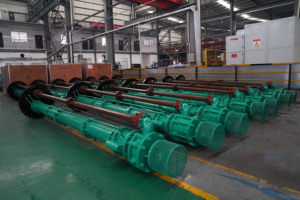 Oem nhà máy ban đầu 1.5 inch thép không gỉ Bơm giếng sâu bơm nhiệt độ cao chìm Máy bơm nước với trục dài - Product Image 5