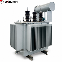 Transformator Tiga Fasa Berpendingin Minyak Tembaga Wanbo-477 S20 630kVA 10kV 35kV Dyn11 ONAN Conservator