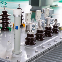 Transformateur rempli d'huile 800kva Dyn11/Yyn0 du fabricant professionnel pour centrales électriques trois entrées 10kv/220v 380v 110v 440v