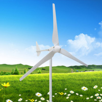 Système de production d'énergie hybride éolien-solaire hors réseau de petite taille pour les ménages, en forme de L, 1 kW, turbine éolienne fonctionnant avec des brises légères