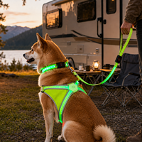Collier et laisse LED réglables anti-traction Qcool, style camouflage, pour animaux de compagnie, équipement de promenade quotidienne, emballage de vente au détail
