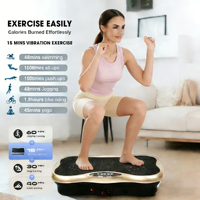 Plaque vibrante verticale de qualité commerciale pour l'exercice du corps entier, équipement d'exercice portable, machine vibrante Power Fit, capacité de charge de 120 kg
