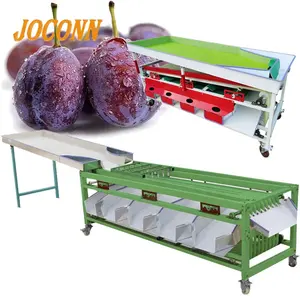 Machine de triage professionnelle, pour tri de fruits, tomates, jube, Orange, pomme de terre, Bayberry, légumes, meilleure vente 2020