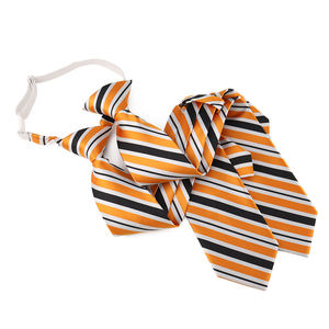 Cravate Jacquard Rayée en Polyester Pré-nouée Élastique à Clipser pour l'École - Promotion - Product Image 2