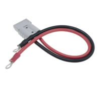 Câble personnalisé de longueur 50A avec connecteur à deux broches vers borne à joint torique M8, connecteur rapide pour la charge de batterie de véhicule