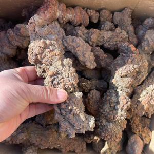 Bán buôn tự nhiên monazite tinh thể kim cương mẫu vật hiếm khủng long phân hóa Thạch Thô khoáng sản của trái đất linh vật đá - Product Image 3