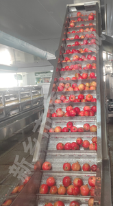 Máquina para quitar Peel de <span class=keywords><strong>Granada</strong></span>, para extraer ardillas para el procesamiento de jugo de <span class=keywords><strong>granada</strong></span> - Product Image 2