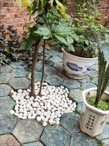 Trắng tinh khiết đánh bóng sông sỏi cho vườn cảnh quan con đường trang trí nội thất - Product Image 5