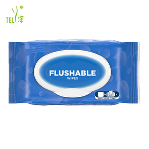 Lingettes désinfectantes biodégradables jetables sans alcool, lingettes nettoyantes antiseptiques individuelles pour les voyages et la maison - Product Image 4