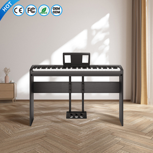 Clavier de piano numérique OEM de la même marque P-125-128, professionnel, électronique, 88 touches lestées, Teclados Piano Digital Piano - Product Image 1