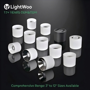 Luminaria Empotrada de Superficie COB de Alta Calidad, Módulo LED COB, Carcasa Moderna para Hogar, Oficina, <span class=keywords><strong>Hotel</strong></span>, Apartamento, Proyecto de Iluminación, 40W - Product Image 1