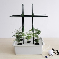 Kit de culture hydroponique de cm, plantation de tomate avec treillis, vignes en plein air, tour d'arbre, jardin vert