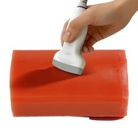 Modelo de Práctica de Biopsia Multiaobjetivo 3 en 1 IG007-S1 para Lesiones de Vasos y Nervios, con Guía de Ultrasonido para Entrenamiento Integral de Punción