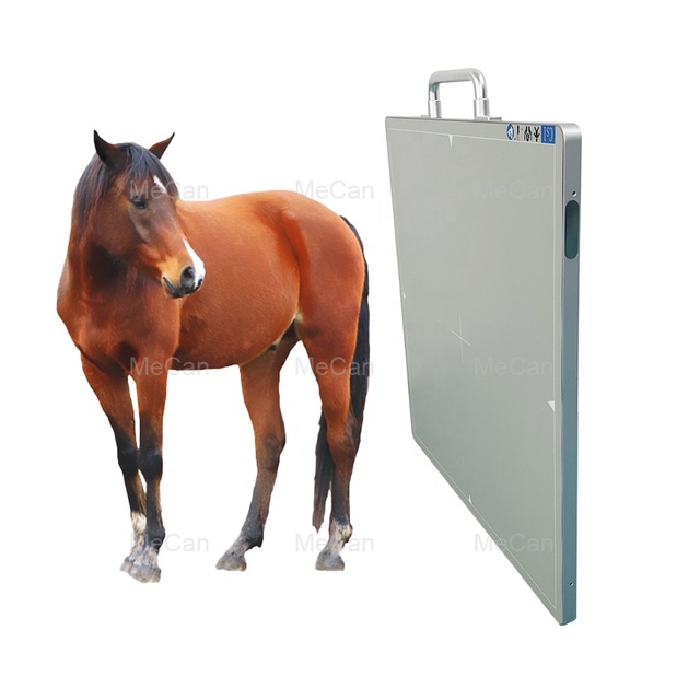 Pets X Ray Wireless DR Digital Flat Panel Detector X-ray Veterinary Digital Xray Flat Panel Detector for Vet