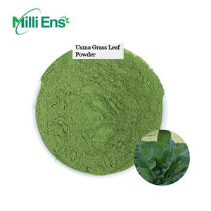 ウスマリーフパウダーオーガニックバルク天然ウスマヘアケアウスマハーバルヘア成長ウスマリーフパウダー - Product Image 2