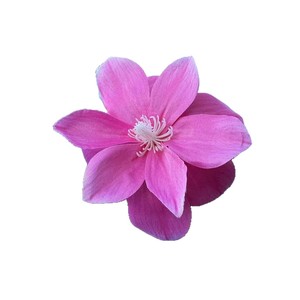 Fleurs artificielles Qiye, bouquet de magnolias en soie, double couche, décorations de mariage - Product Image 1