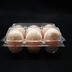 Vente en gros plateau à oeufs en plastique transparent 6/8/9/12 trous, boîte à oeufs en plastique transparent de taille moyenne