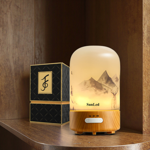 Humidificateur d'air portable mini ultrasonique décoratif unique / Brumiateur à vapeur froide et chaude - Product Image 1