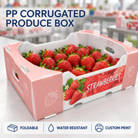 Vouwbare PP golfkartonnen fruit- en groentekisten op maat en met opdruk voor supermarktpresentatie en distributie