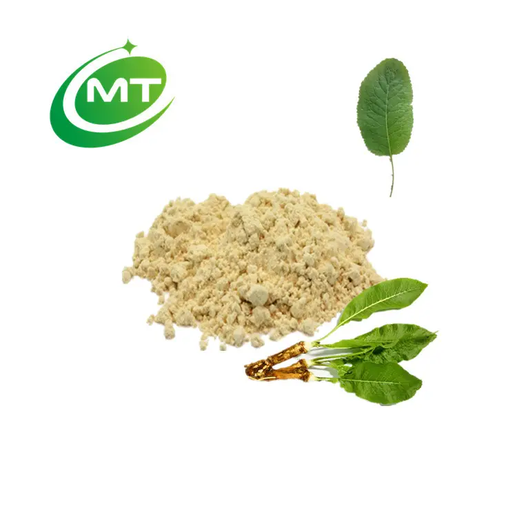 नि: शुल्क नमूने उच्च गुणवत्ता 100% कार्बनिक सहिजन पाउडर Armoracia Rusticana निकालने 10:1 सहिजन पेड़ के पत्तों पाउडर थोक