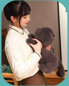 Vente en gros de jolies peluches de chat brodées multi-styles et d'ours en peluche doux, beaux cadeaux pour les filles et les enfants - Product Image 5