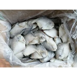 Silver Pomfret White Promfret Iqf Pomfret Fillet