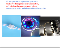 Tira de Luces LED SMD 2835 120LEDs/M, 5M Flexible, Impermeable, DC 12V/24V, Cinta LED de Alto Brillo para Decoración del Hogar