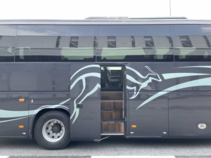 Роскошный автобус Shaolin длиной 11 м с новым дизельным двигателем для общественного транспорта, стандартное переднее положение стандарта евро 5 - Product Image 3