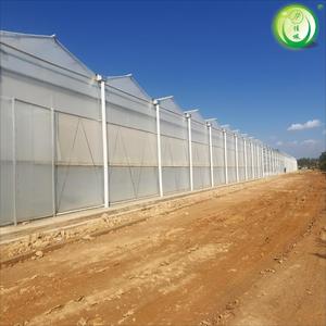 Usine de serres Jiapei Solution unique Grand treillis Venlo <span class=keywords><strong>Cadre</strong></span> en acier avec film couvrant les serres automatiques - Product Image 2