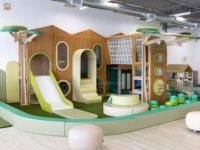 Équipement de terrain de jeu intérieur sur le thème de la forêt personnalisé, maison dans les arbres en bois, piscine à balles avec toboggan, aire de jeux souple pour enfants, parc d'attractions