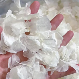 100% naturale ortensia secchi petali fiori per <span class=keywords><strong>Confetti</strong></span> matrimonio - Product Image 1