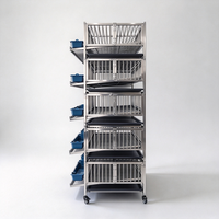 Cage à cailles automatique pour la collecte des œufs, équipement avicole à 5 niveaux, cages en batterie pour l'élevage des cailles et des petits oiseaux