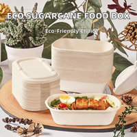 Boîte à lunch compostable en bagasse avec couvercle, boîte bento jetable à 2 compartiments, écologique, biodégradable, recyclable, récipient alimentaire