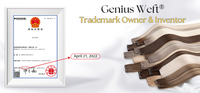 Extensions de cheveux naturels Remy vierges bruts à double trame Genius Weft en gros