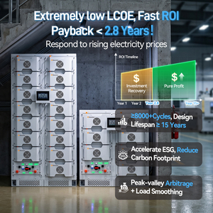 Batería de Litio Lifepo4 de Alto Voltaje de 100 Kw para Montaje en Rack, Sistema de Almacenamiento de Energía (ESS) de 100 Kwh, 200 Kwh, Almacenamiento de Energía Solar para Uso Industrial y Comercial - Product Image 4
