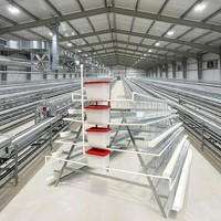 Équipement avicole pour élevage en batterie de type A : poulailler, poulailler d'élevage de poulets de chair, cage à œufs pour poules pondeuses