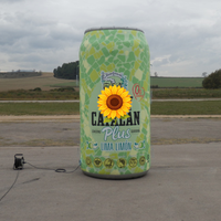 Énorme ballon gonflable en forme de bouteille de vin pour promotion, forme/logo personnalisé, présentoir géant pour bouteille d'alcool