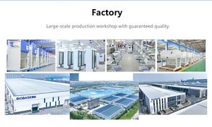 BIOBASE China Analisador De Escape BK-EA401 Impressora Embutida Display Digital Medir Emissões De Veículos De Analisador De Concentração De Gás - Product Image 5