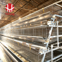 Cage à volailles de type A, cage automatique pour poules pondeuses à 4 niveaux, collecte des œufs, courroie à fumier, abreuvoir à tétine, alimentation et abreuvement, acier galvanisé