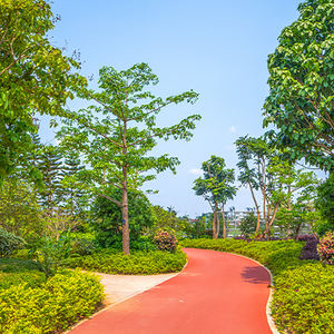 Borde de Jardín Duradero y Fácil de Instalar sin Excavación, Divisor de Jardín para Decoración de Exteriores, Marca <span class=keywords><strong>Taurus</strong></span>, Gran Venta - Product Image 6