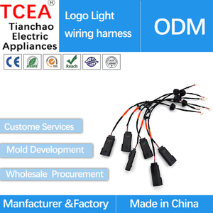 Ensemble de faisceau de câbles personnalisé avec logo CCIE et boîtier CP016-2Y.2, terminal 33000-1004 pour la production selon les plans d'usine de véhicules - Product Image 2