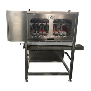Good Peeling Effect Automatic Industrial Chicken Egg Shelling Machine