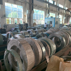 Bobines en acier inoxydable de haute qualité 0,8 mm * 60 mm, résistantes à l'érosion, acier inoxydable austénitique laminé à froid - Product Image 6